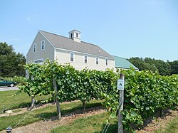 Jewell Towne Vineyards Jewell Towne Vineyards, Amesbury MA.jpg