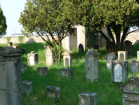 Judenfriedhof Otterstadt 02