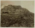 Bird's nest pickers descend a 38 meter high cliff at Rongkap, 1895