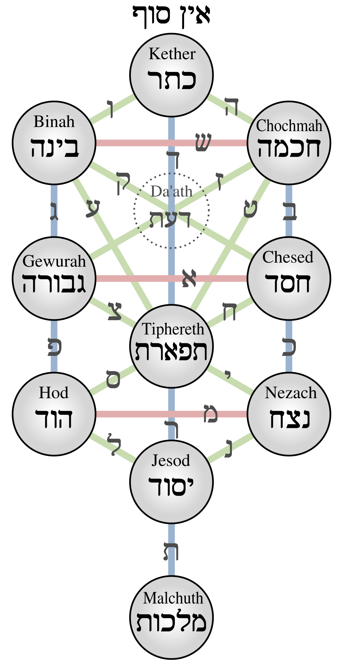 Tree of life - Wikipedia