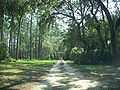 Road through the district