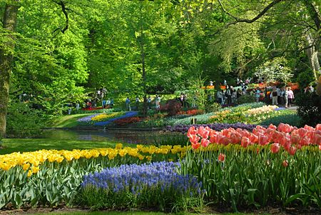 Keukenhof