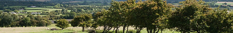 County Kildare page banner