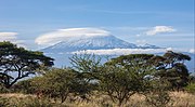 Miniatuur voor Kilimanjaro (berg)