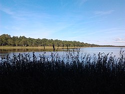 Järvi kuvattuna joensuun puolelta vuonna 2011