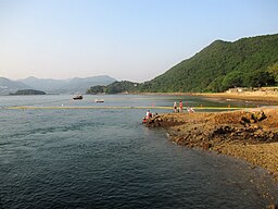 Kiu Kong Pantai 07.jpg