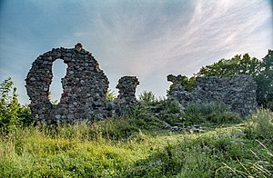 Kurzętnik