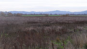 Vignette pour Lagune de Santa Rosa