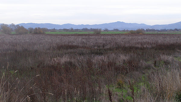 Looking east across the Laguna de Santa Rosa floodplain, with the Mayacamas Mountains in the background