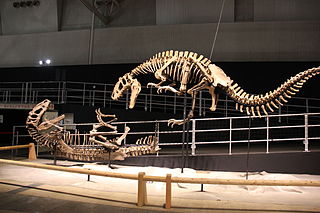 <i>Yutyrannus</i> Genus of proceratosaurid dinosaur from the Early Cretaceous period