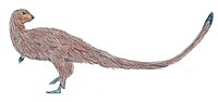 Miniatura para Leaellynasaura amicagraphica