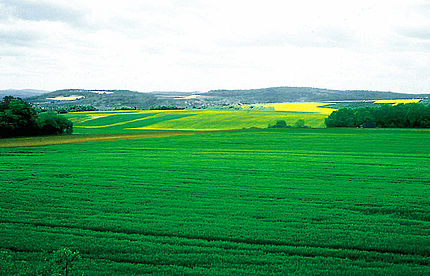 Borgonya (França), 10 de maig de 1997