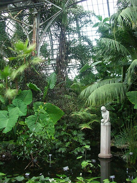 File:Lincoln Park Nature Conservatory's Lily Pond (503479540).jpg