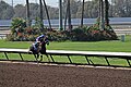 Los Alamitos Sept 2014 IMG 6721 (15131275887).jpg