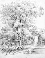 Sketch of an ash tree en Duffryn