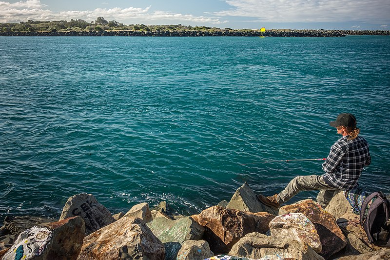 File:Luderick fishing from a wharf on the Hastings River, Port Macquarie, New South Wales, Australia 10.jpg