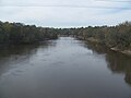 The Suwannee River, looking west from the Hal W. Adams Bridge.