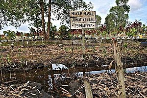 Makam Massal Korban Jumat Kelabu.jpg