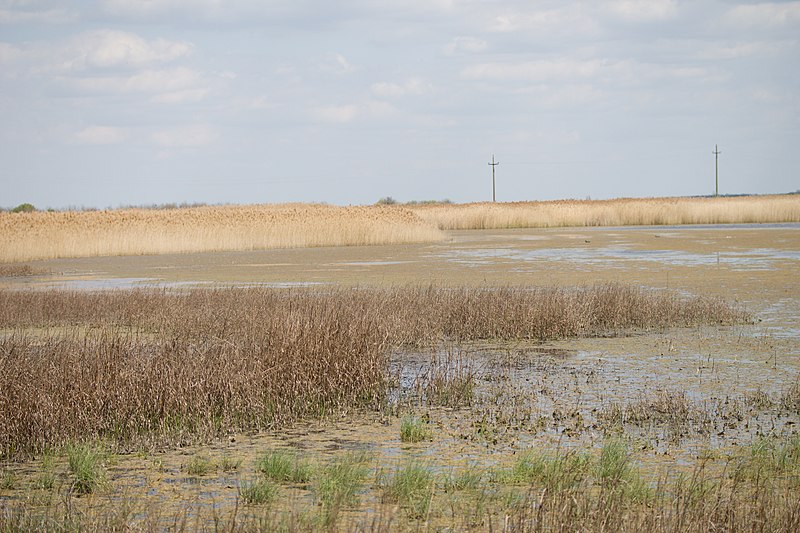 File:Medura - slano jezero 2.jpg