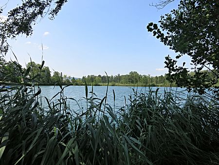 Mettmenhaslisee