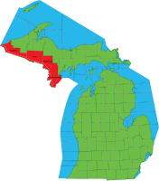 Michigan counties in CST zone