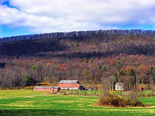 <span class="mw-page-title-main">Miles Township, Pennsylvania</span> Township in Pennsylvania, United States