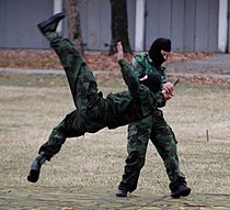 Military of Montenegro training2.jpg