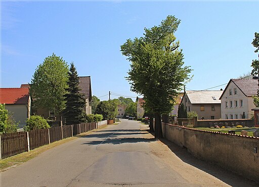 Mitteldorfstraße Strauch a