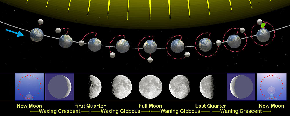 Moon phases en.jpg