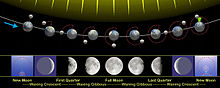 The phases of the Moon as viewed looking southward from the Northern Hemisphere. Each phase would be rotated 180deg if seen looking northward from the Southern Hemisphere. The upper part of the diagram is not to scale, as the Moon, the Earth, and the Moon's orbit are all much smaller relative to the Earth's orbit than shown here. Moon phases en.jpg