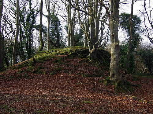 Motte, Castell Nanhyfer - geograph.org.uk - 632702.jpg