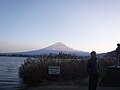 Mt. Fuji in the sunset.jpg