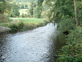 Mudderet i Weilbach