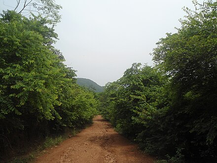 Trail in Kambalakonda Ecopark near Visakhapatnam