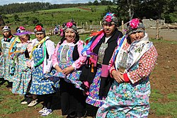 Mujeres mapuches en la entrega terreno a Comunidad Mapuche Lorenzo Quintrileo de Tirúa.jpg