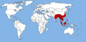 Muntiacus-map.png