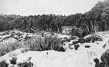 Murphy's log barn (1905) Murphy's log barn.jpg