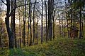 Muránska planina - sunrise in Nižná Kľaková.JPG