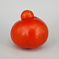 Mutant tomato 2017 B1.jpg