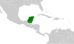 Distribución geográfica del copetón yucateco.