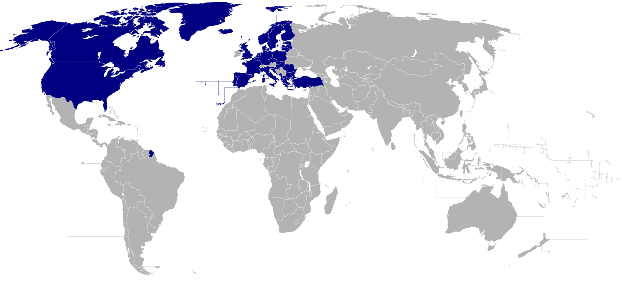 File:Nato-knochen 2.jpg - Wikimedia Commons