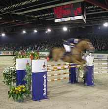 A parallel oxer - note the highest front and back rails are at the same height. NIC Zuidlaren 2004 - 1.jpg