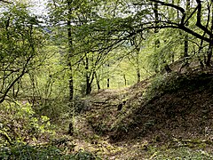 Kerbtal an der Oberkante des Wupperhangs