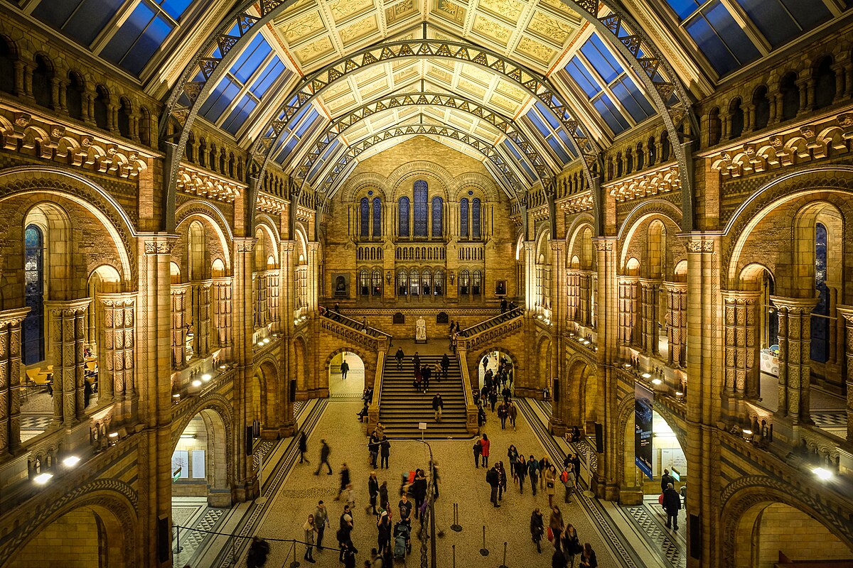 лондон британский музей