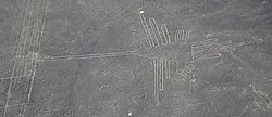 Nazca colibri.jpg