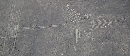 Tập_tin:Nazca_colibri.jpg