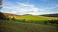 Neckargerach - Mittelberg - Ansicht von Westen im Herbst (2)