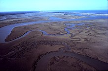 Aerial view of tidal creeks and marshes in North Inlet Estuary, Winyah Bay National Estuarine Research Reserve, October 2010