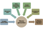 Thumbnail for Neurogenomics