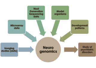 Neurogenomics